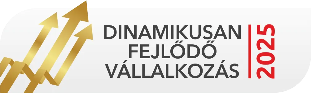 Dinamikus vállalkozás